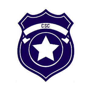 CHOP SHOP COP