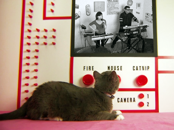 Feline Film Fest First Place!